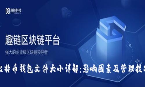 比特币钱包文件大小详解：影响因素及管理技巧