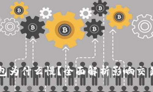 比特币转钱包为什么慢？全面解析影响交易速度的因素