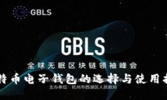 比特币电子钱包的选择与