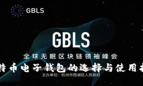 比特币电子钱包的选择与使用指南