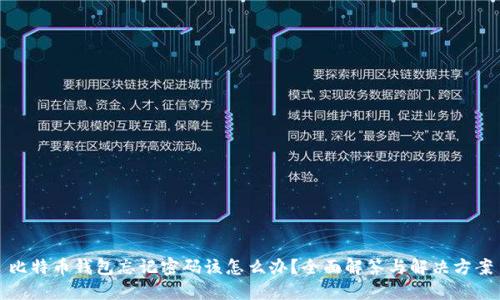 比特币钱包忘记密码该怎么办？全面解答与解决方案