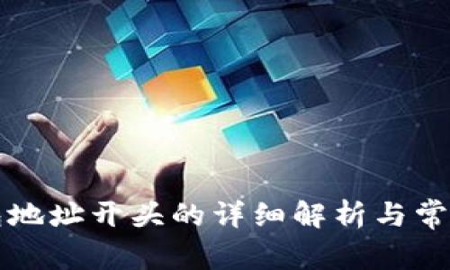 比特币钱包地址开头的详细解析与常见问题解答