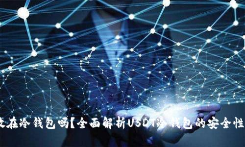 USDT可以放在冷钱包吗？全面解析USDT冷钱包的安全性与操作指南