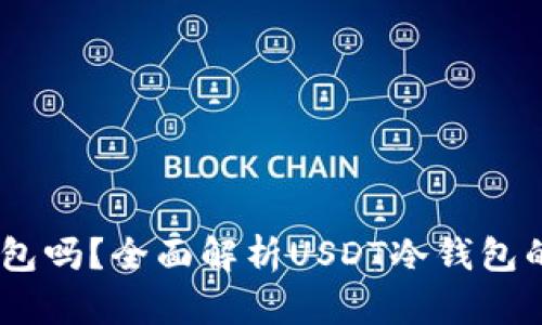 USDT可以放在冷钱包吗？全面解析USDT冷钱包的安全性与操作指南