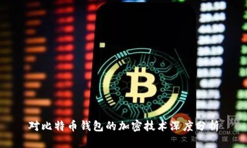 对比特币钱包的加密技术深度分析