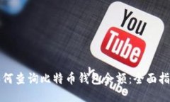 如何查询比特币钱包余额