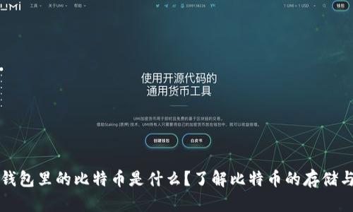加密钱包里的比特币是什么？了解比特币的存储与交易