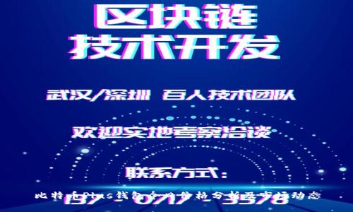比特币Plus钱包今日价格分析及市场动态
