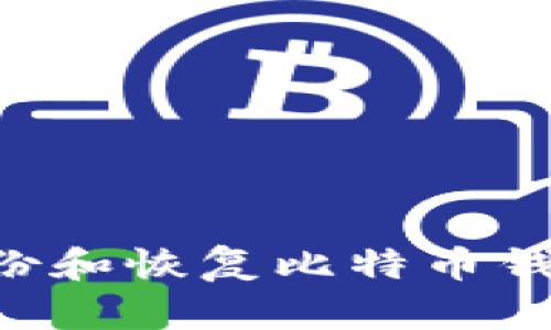 如何安全备份和恢复比特币钱包：全面指南