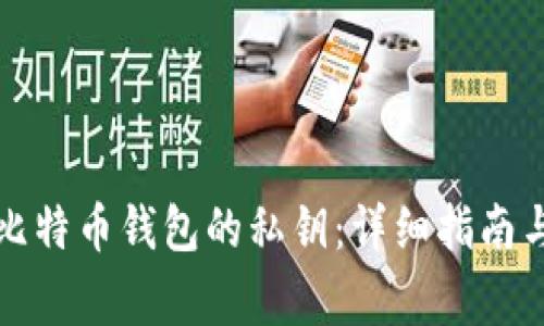 如何查看比特币钱包的私钥：详细指南与注意事项