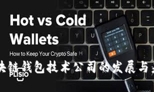 区块链钱包技术公司的发展与未来