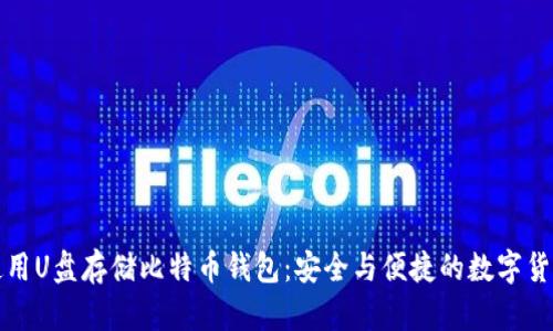 如何使用U盘存储比特币钱包：安全与便捷的数字货币管理