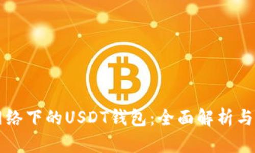 比特币网络下的USDT钱包：全面解析与使用指南