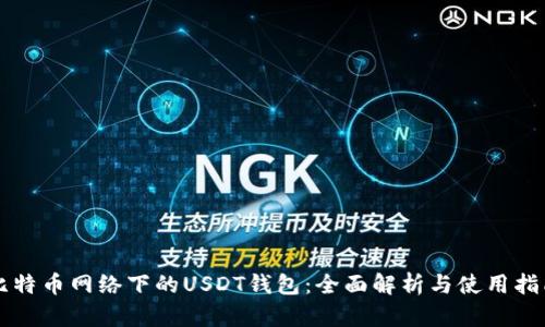比特币网络下的USDT钱包：全面解析与使用指南