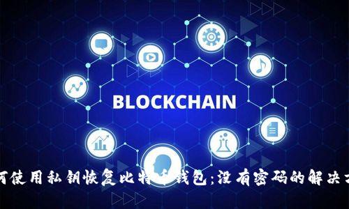 如何使用私钥恢复比特币钱包：没有密码的解决方案
