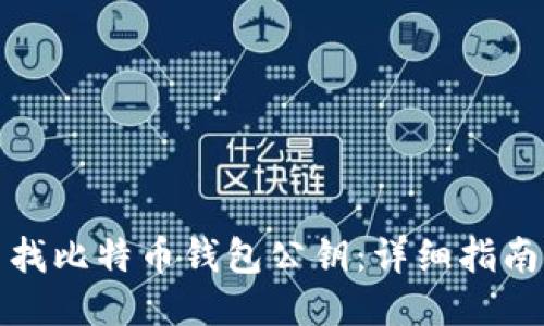 如何查找比特币钱包公钥：详细指南与技巧