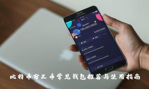 比特币分叉币常见钱包推荐与使用指南