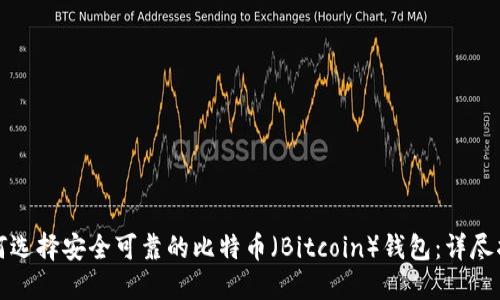 如何选择安全可靠的比特币（Bitcoin）钱包：详尽指南