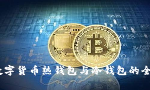 USDT数字货币热钱包与冷钱包的全面解析