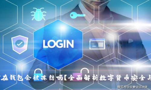 USDT在钱包会被冻结吗？全面解析数字货币安全与管理