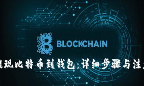 如何提现比特币到钱包：详细步骤与注意事项