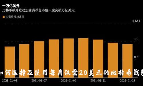 如何选择及使用每月仅需20美元的比特币钱包