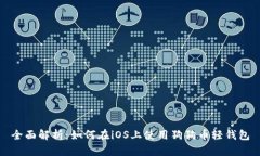 全面解析：如何在iOS上使用狗狗币轻钱包
