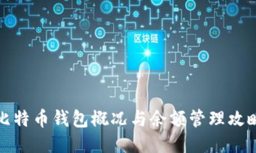 比特币钱包概况与余额管理攻略