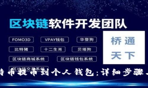 如何将比特币提币到个人钱包：详细步骤与注意事项