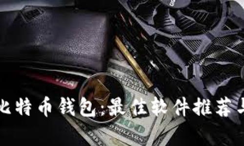 全面解析比特币钱包：最佳软件推荐与使用指南