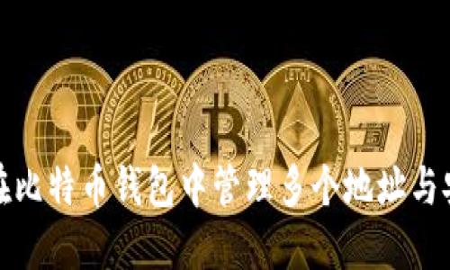 如何在比特币钱包中管理多个地址与安全性