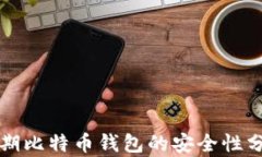早期比特币钱包的安全性