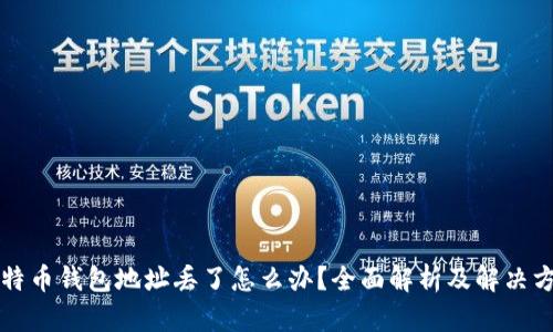 比特币钱包地址丢了怎么办？全面解析及解决方案