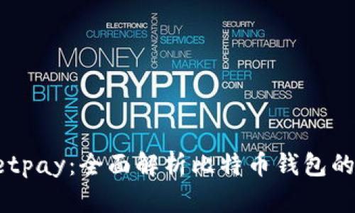Instawalletpay：全面解析比特币钱包的使用与优势