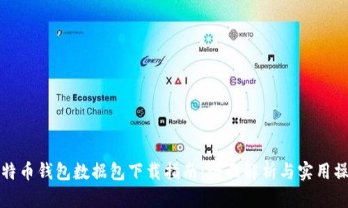 比特币钱包数据包下载指南：全面解析与实用操作