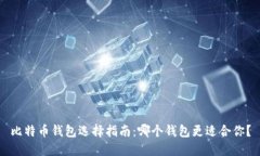 比特币钱包选择指南：哪