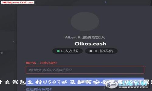 什么钱包支持USDT以及如何安全使用USDT钱包