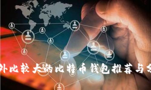 国外比较大的比特币钱包推荐与分析