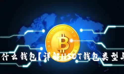 USDT属于什么钱包？详解USDT钱包类型与选择指南