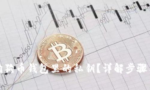 如何找到狗狗币钱包里的私钥？详解步骤与注意事项