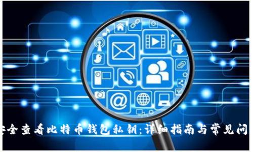 如何安全查看比特币钱包私钥：详细指南与常见问题解答