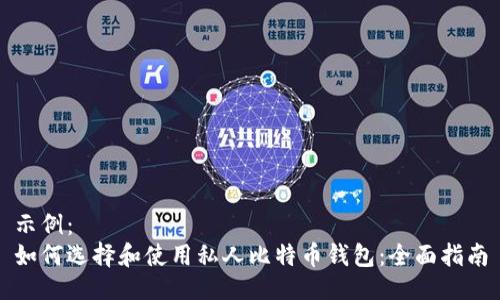 示例：  
如何选择和使用私人比特币钱包：全面指南