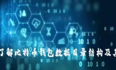 全面了解比特币钱包数据