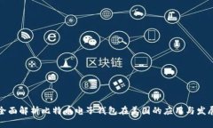 全面解析比特币电子钱包