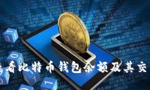 如何查看比特币钱包余额及其交易记录
