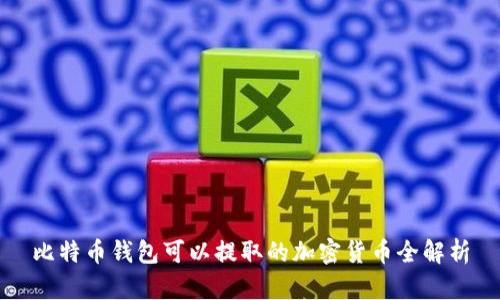 比特币钱包可以提取的加密货币全解析