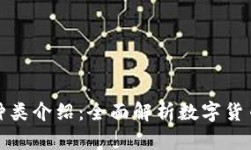 比特币钱包种类介绍：全面解析数字货币存储的选择