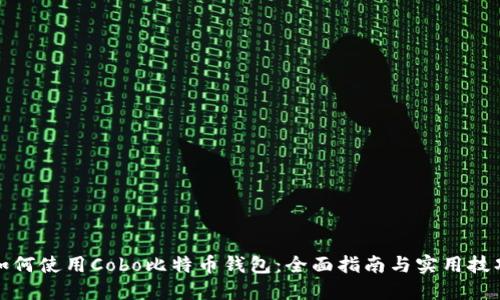 如何使用Cobo比特币钱包：全面指南与实用技巧