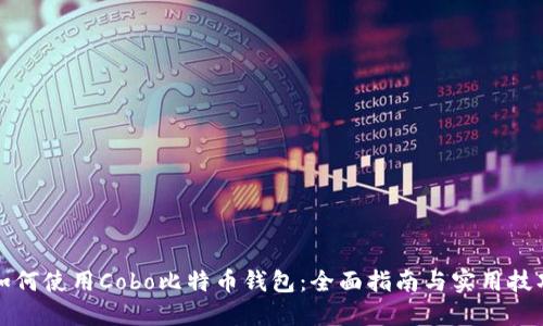 如何使用Cobo比特币钱包：全面指南与实用技巧