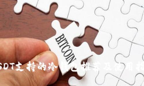 USDT支持的冷钱包推荐及使用指南